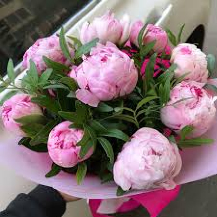 Пион древовидный в Капчагае