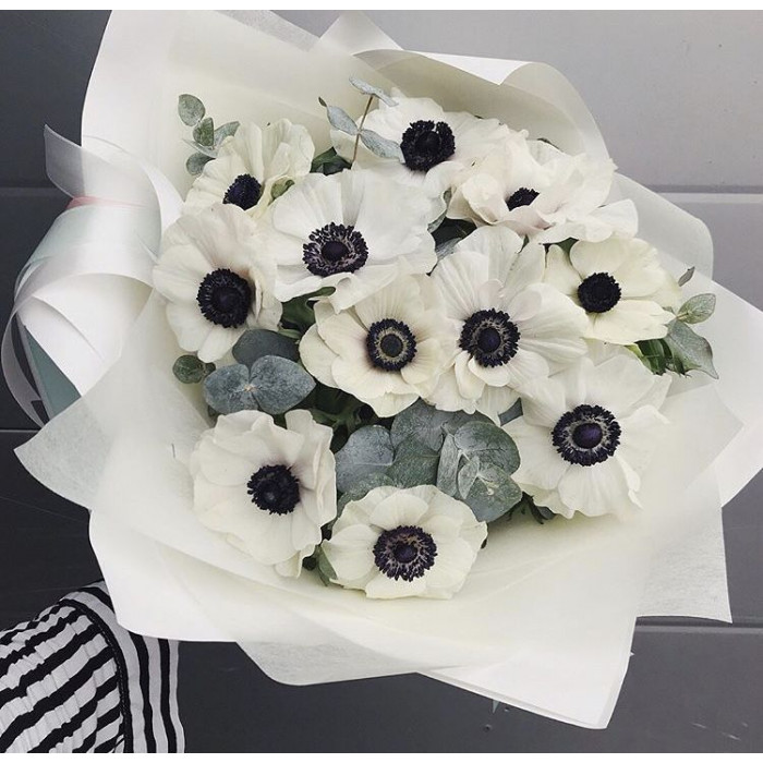 Анемоны в Капчагае