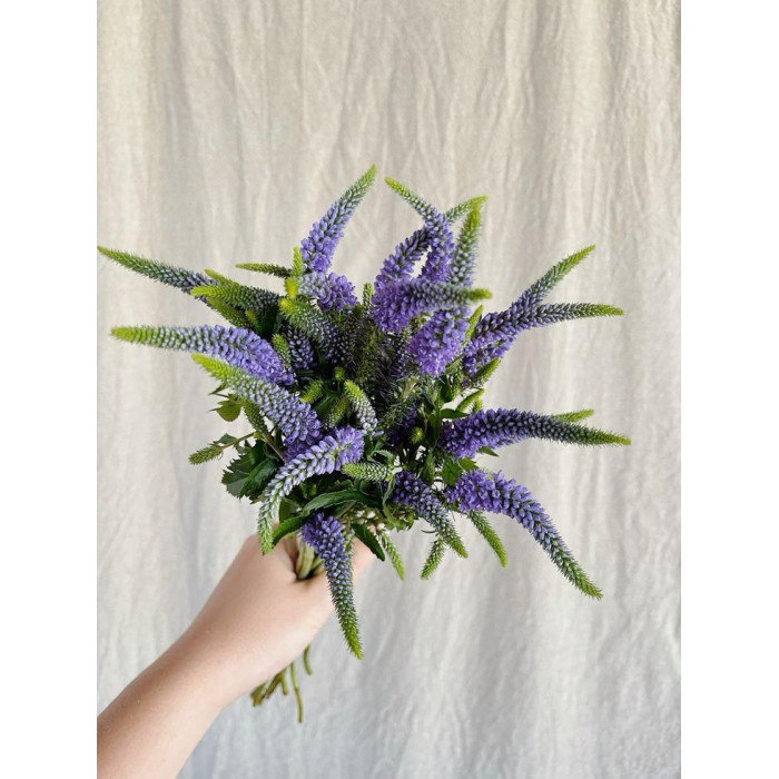 Вероника в Капчагае