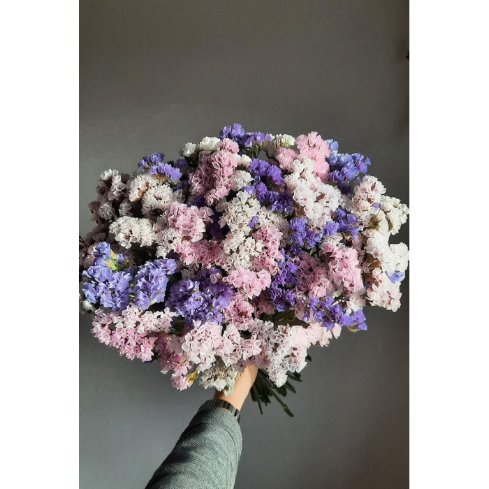 Статица (Лимониум) в Капчагае