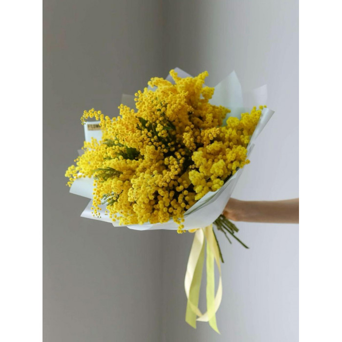 Мимоза в Капчагае