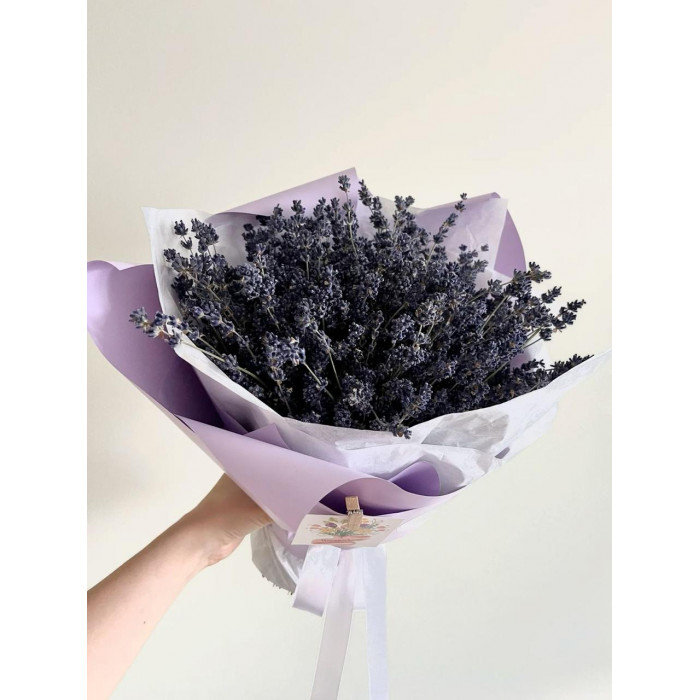 Лаванда в Капчагае