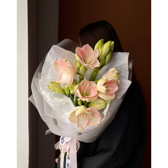 Амариллис в Капчагае