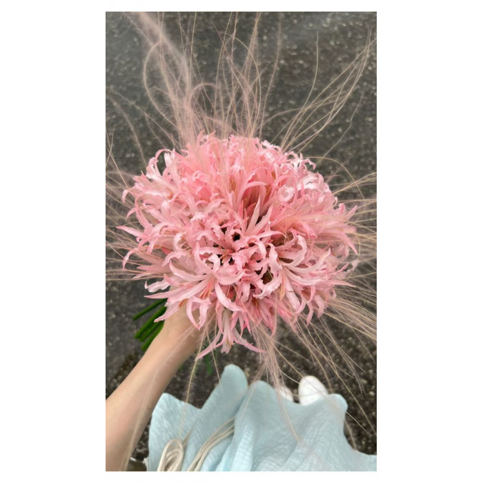 Нерине в Капчагае