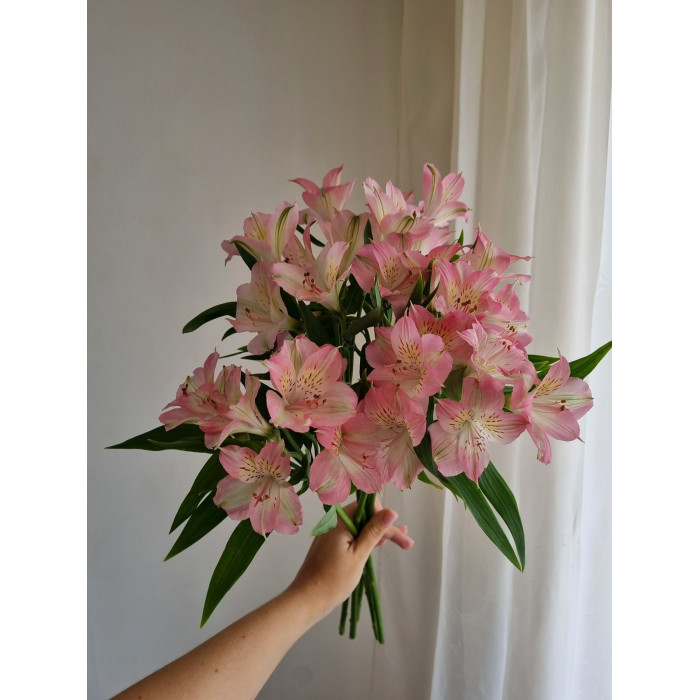 Альпиния в Капчагае