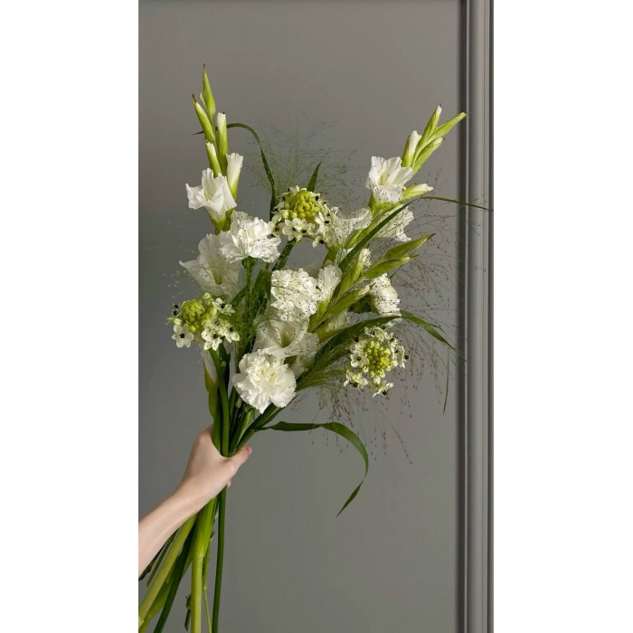 Орнитогалум в Капчагае