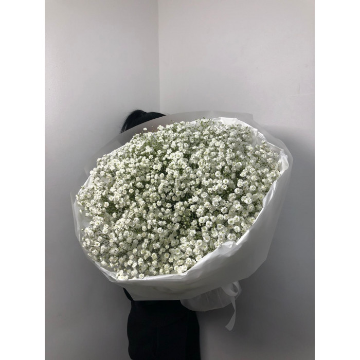 Гипсофила классическая в Капчагае