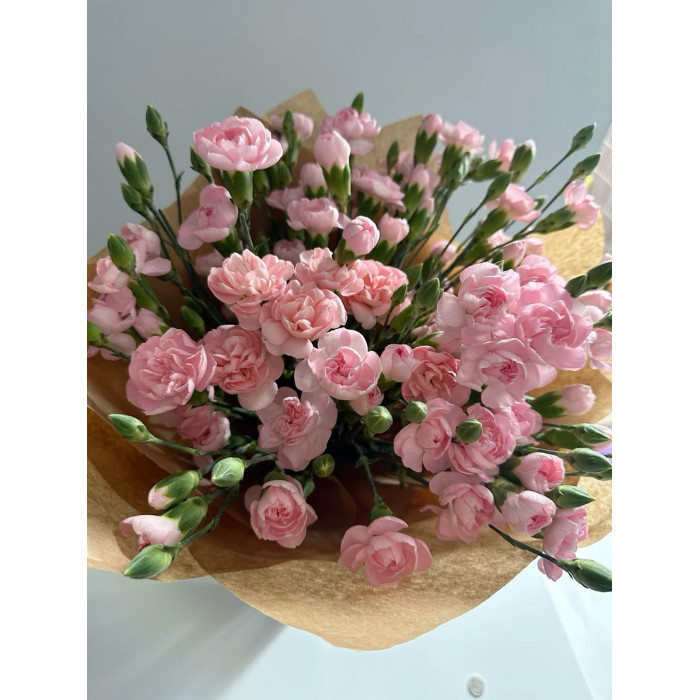 Кустовые гвоздики в Капчагае