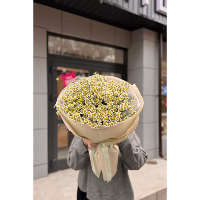 Танацетум в Капчагае